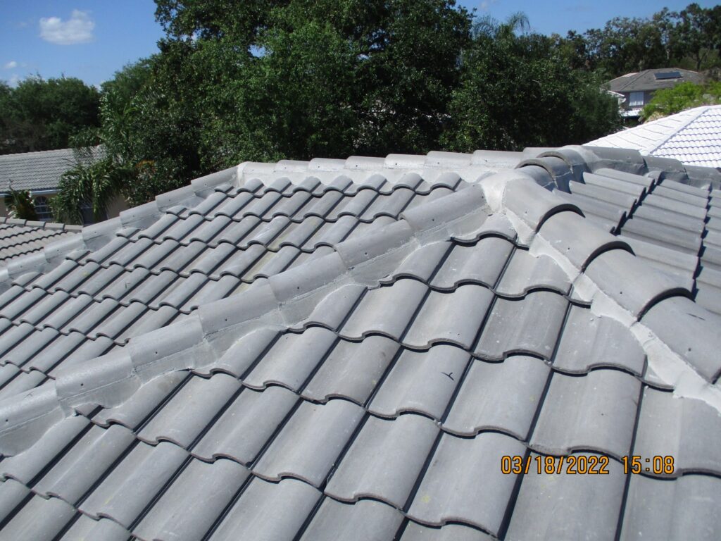 Roof Repair Services Near Me